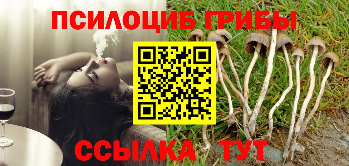 Галлюциногенные грибы GOLDEN TEACHER Долгопрудный