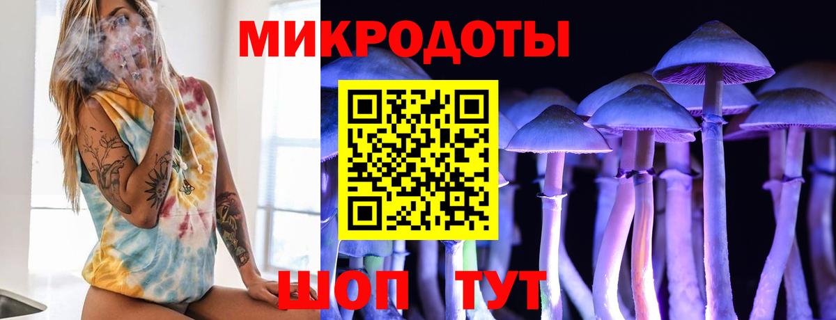 Галлюциногенные грибы GOLDEN TEACHER  Вход с VPN  Долгопрудный 